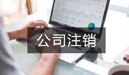 深圳公司要怎么注銷？（深圳公司注銷流程及費用）