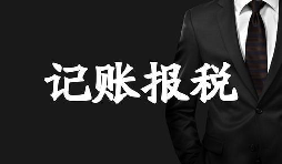 新成立的公司記賬報稅方面有哪些選擇？