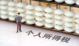 如何在網(wǎng)上打印個人所得稅納稅記錄？