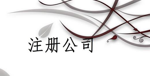 注冊公司為什么推薦找代理注冊公司的機構(gòu)呢？