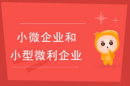 小微企業(yè)和小型微利企業(yè)有什么區(qū)別？