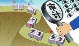 公司審計(jì)是什么,一般有哪幾種？